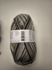 Lang Yarns Super Soxx Color 4 ply 416