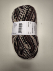 Lang Yarns Super Soxx Color 4 ply 395