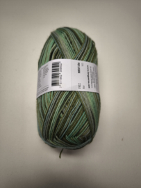 Lang Yarns Super Soxx Color 4 ply 384