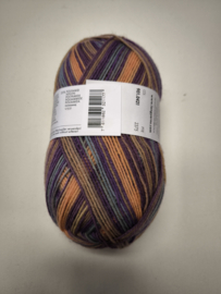 Lang Yarns Super Soxx Color 4 ply 421