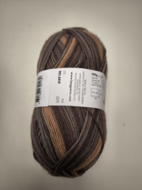 Lang Yarns Super Soxx Color 4 ply 419