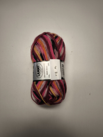 Lammy Yarns New Running Multi 418