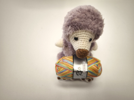 Lammy Yarns Rio Multi 634