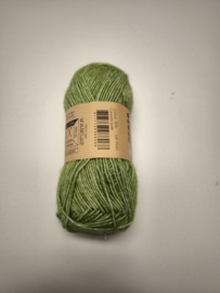 Scheepjes Stone Washed 806