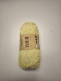 Scheepjes Stone Washed 817