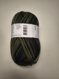 Lang Yarns Super Soxx Color 4 ply 405