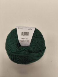Lang Yarns Merino 120 318