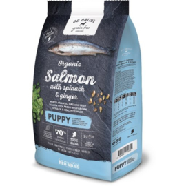 PUPPY: ATLANTISCHE ZALM, SPINAZIE & GEMBER 0,8 kg