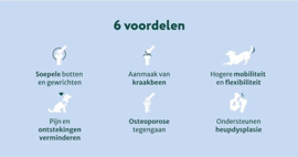 Heup & Gewrichten supplement voor honden | Voor een betere mobiliteit & levenskwaliteit | Verlicht artrose | 60 snoepjes