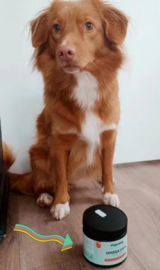 OMEGA 3-6-9 supplement - Huid & Vacht | Gezonde huid en glanzende vacht voor honden | 60 snoepjes