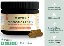 Ondersteun darmflora en spijsvertering | Probiotica Forte met kip | 60 snoepjes