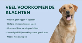 Heup & Gewrichten supplement voor honden | Voor een betere mobiliteit & levenskwaliteit | Verlicht artrose | 60 snoepjes