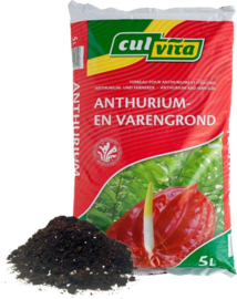 Culvita - Anthurium en varengrond 5 liter