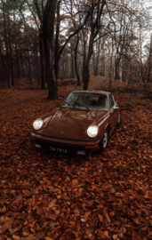 911 leafbrown