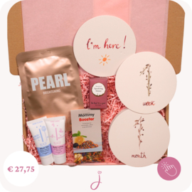 Zwangerschap cadeau Hoera zwanger! - Brievenbus cadeau