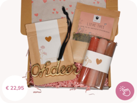 Kerstcadeau "Lieve kerstgroet" - Brievenbus cadeau