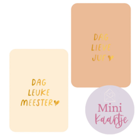 Mini kaartje - Dag leuke meester of Dag lieve juf