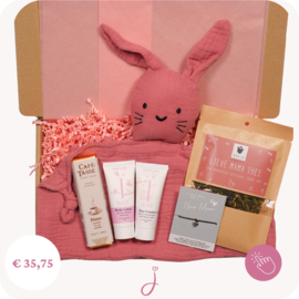Zwangerschapsverlof cadeau Mommy to be - Brievenbus cadeau