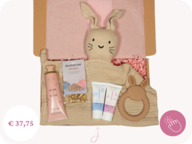 Brievenbus cadeau Beschuit met muisjes - Zwangerschapsverlof cadeau