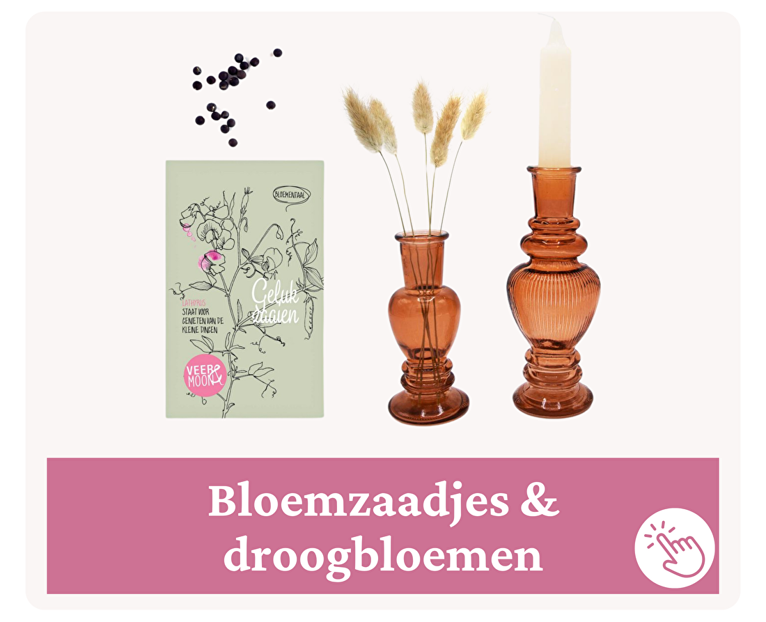 Brievenbus cadeau versturen