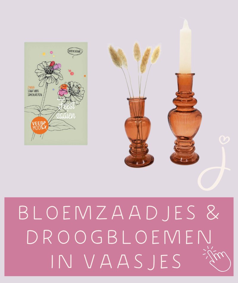 Brievenbus cadeau versturen