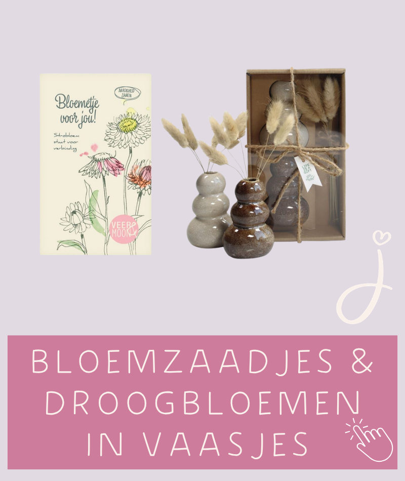 Brievenbus cadeau versturen