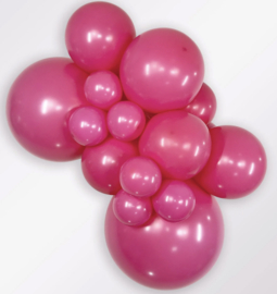 Fuchsia 6 stuks