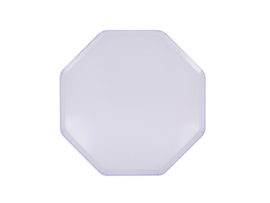 Meri Meri periwinkle bordjes