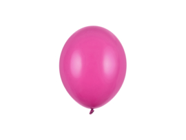 Fuchsia 6 stuks
