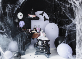 Party Deco Hocus pocus ketel