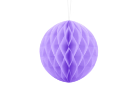 Honeycomb lilac 20 cm