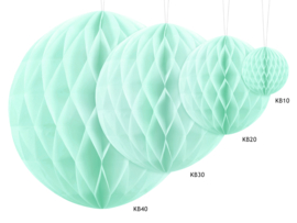 Honeycomb mint 10 cm
