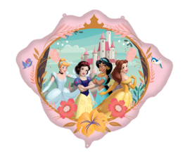 Disney prinsessen spiegel