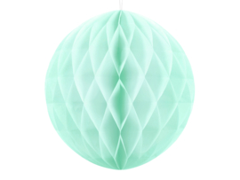 Honeycomb mint 20 cm