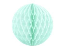 Honeycomb mint 10 cm