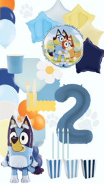 Bluey & friends