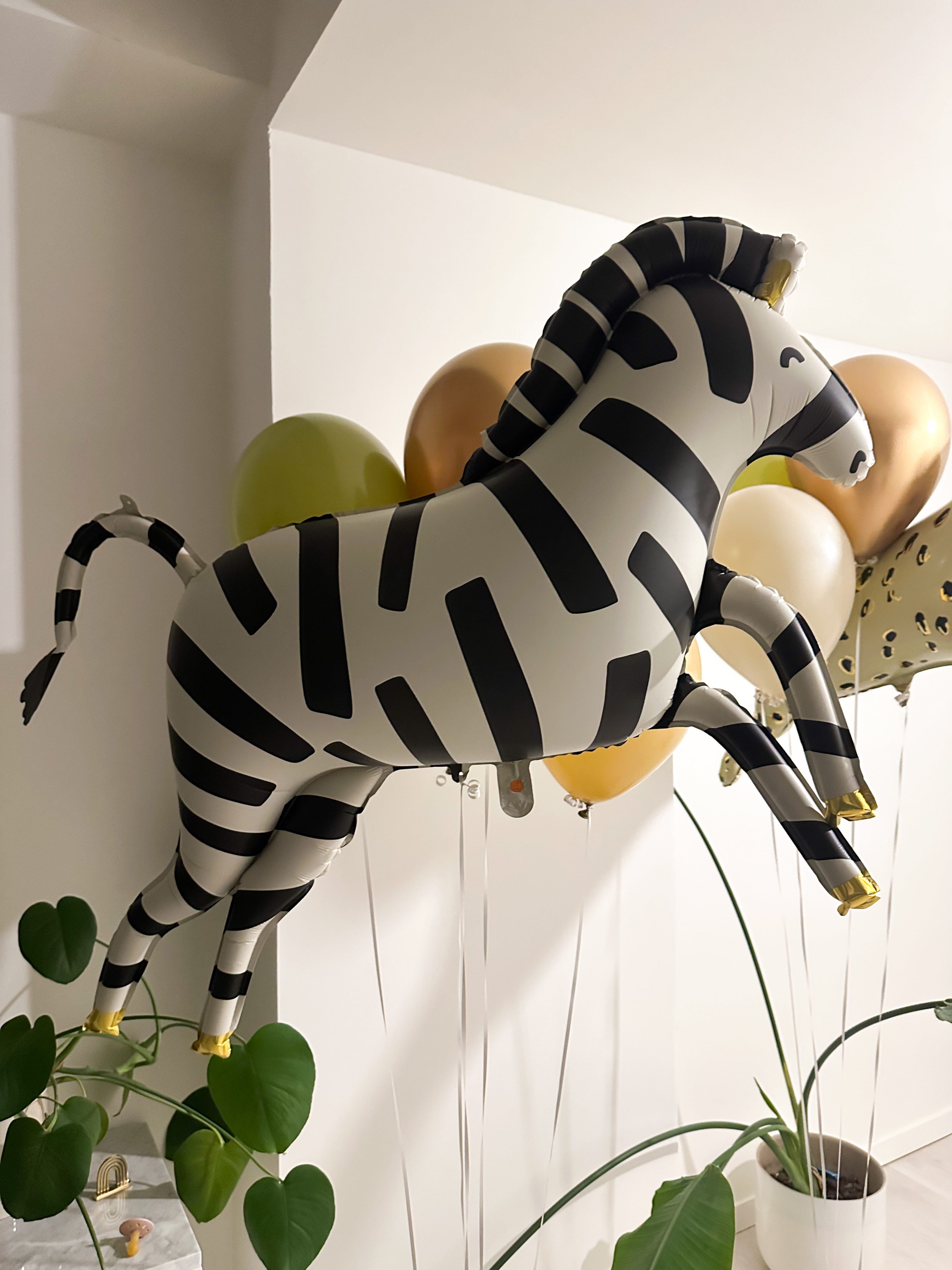 Party Deco Zebra