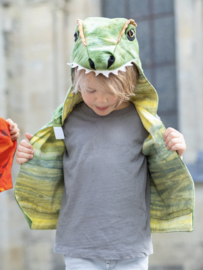 Dino Vestje