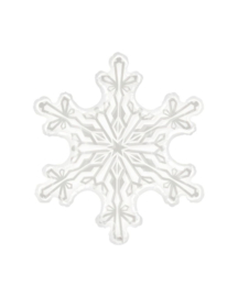 Snowflake