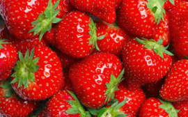 Aardbeien, klasse 1 per 500 gram