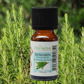 Essentiële oliën Rosemary - 10 ml