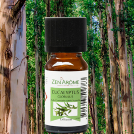 Eucalyptus Essentiële Oliën - 10 ml