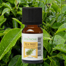 Essentiële oliën Tea Tree - 10 ml