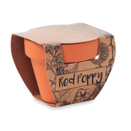 Red Poppy