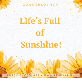 Zonnebloem - Apple pie