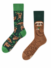 Sloth life
