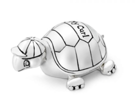 Tanden-/haarlokdoosje Schildpad