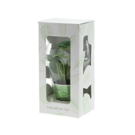 Smylieplant® small in papercup, In giftbox