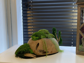 Decoratieve (halve) houten bol (4)