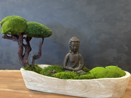 Boedha in a Mossforest